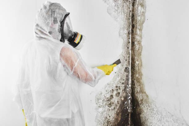 Best Crawl Space Mold Removal  in Jefferson, OR