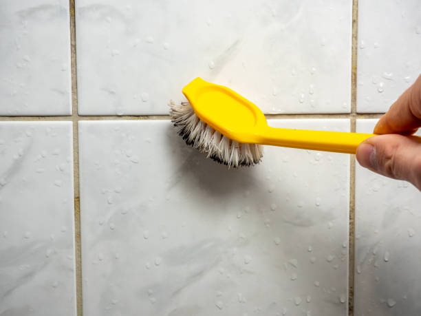 Best Office Mold Removal Services  in Jefferson, OR