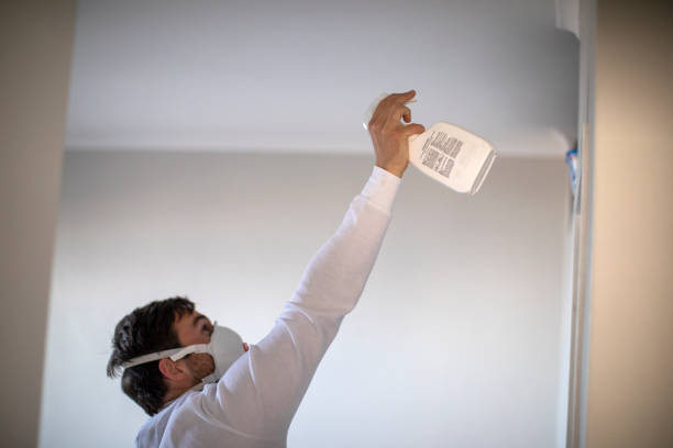 Best Local Mold Removal Service  in Jefferson, OR