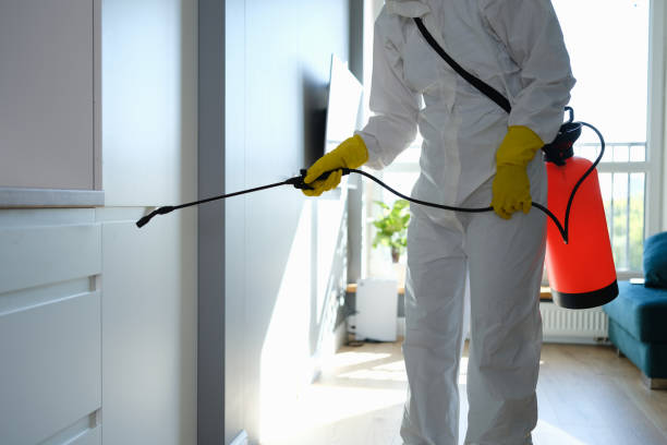 Certified Mold Removal in Jefferson, OR